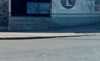 Médico veterinario zootecnista