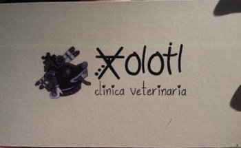 Veterinaria Xolotl