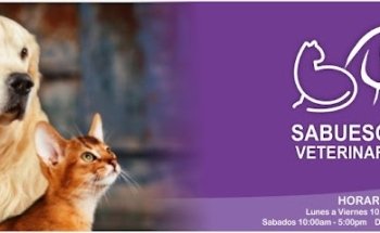 Veterinaria Sabuesos