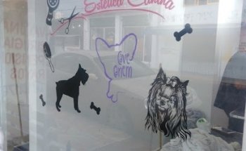 Veterinaria Cave Canem