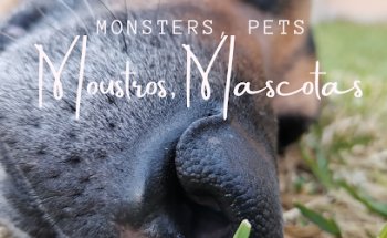 Monsters, PETS