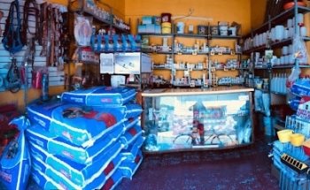 Veterinaria El Becerro