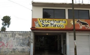 Veterinaria San Marcos