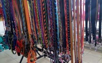 El Mundo de los Animales