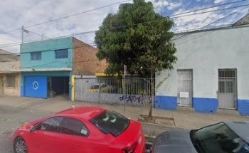 Veterinario revolución