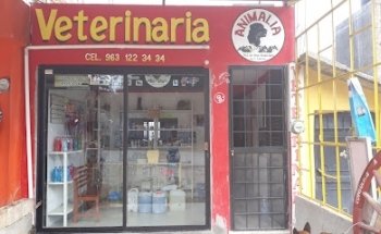 Animalia veterinaria