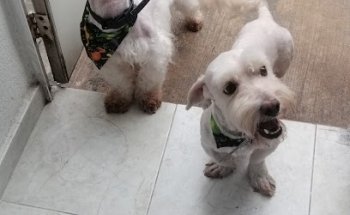 Clínica Veterinaria Spa y Dony's Pets