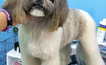 Veterinaria Vista Hermosa