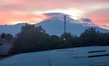 Distribuidora Veterinaria 6 hermanos