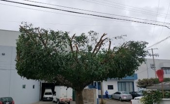 Difarvet, S.A. de C.V.