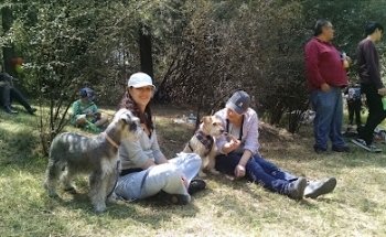 Tarango Forest Veterinary Center