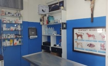 Veterinaria Arca de Noe