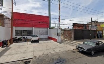 Uma Estética Canina