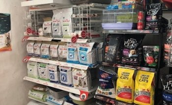 Veterinary Animal Kingdom