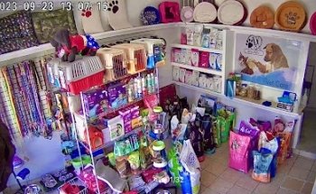 Vet Care Veterinaria