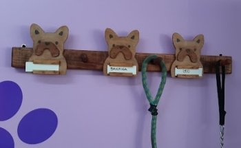 Can Can Estética y Veterinaria