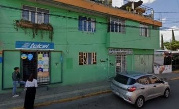 Veterinaria Sealyham