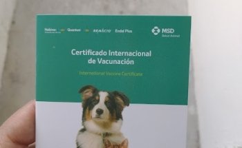 Veterinaria 