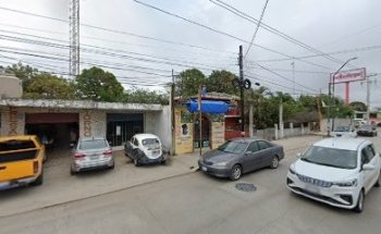 Veterinaria Mi Ratota