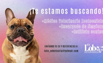 Veterinaria el Lobo