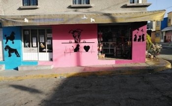 Clinica Veterinaria El Jilguero