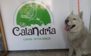Farmacia y Centro Veterinario la calandria