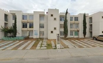 El Miura Veterinaria sadasi