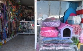 Estética canina La Loma