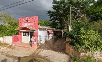 Veterinaria mascotas oxkutzcab