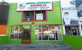 HOSPITAL VETERINARIO ANIMALIA