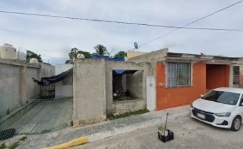 Veterinario eduardo palomo canino's pet