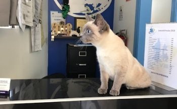 Veterinary Specialty Clinic Tijuana