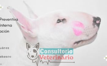 cosultorio veterinario CARAPED