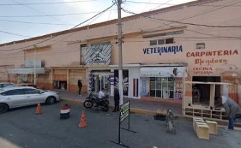 Veterinaria y Estética Bienestar Animal