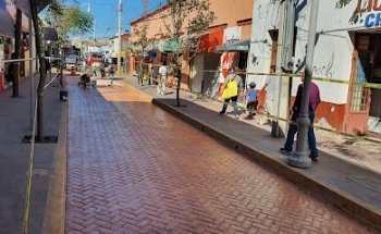 Veterinaria Toro bravo