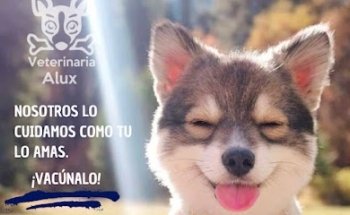 CLÍNICA VETERINARIA ALUX