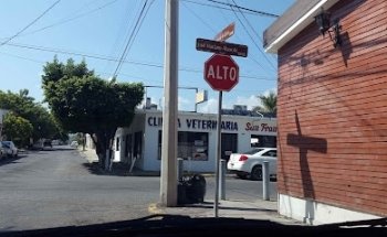 San Francisco Veterinary