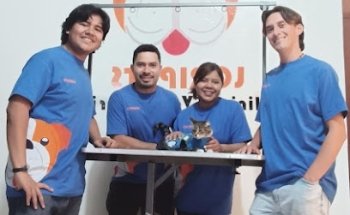 Veterinaria Loripets