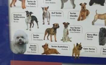 Veterinaria Rodriguez