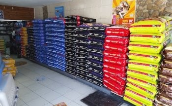 Innes Petshop Reforma