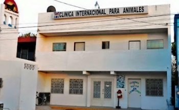 Clinica Internacional para Animales