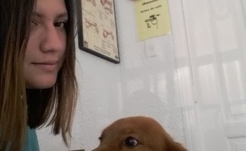 Veterinaria Poligono