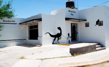 Abracitos Pet Estética Y Veterinaria