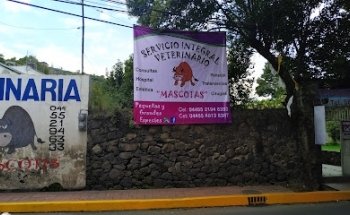 Servicio Integral Veterinario Mascotas