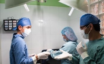 Hospital Veterinario Amaltea