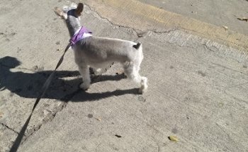 ARGOS - Veterinary Medical Center