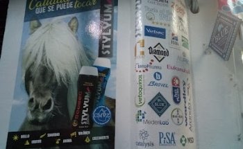 DOGGY VETERINARY CLINIC