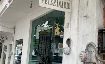 Hospital Veterinario Del Sol