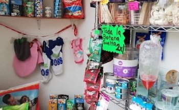 Veterinaria Terranova