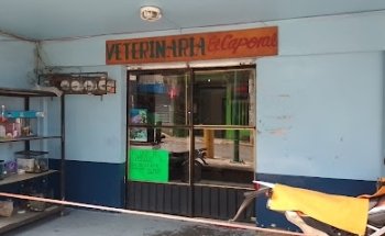 Veterinaria El Caporal